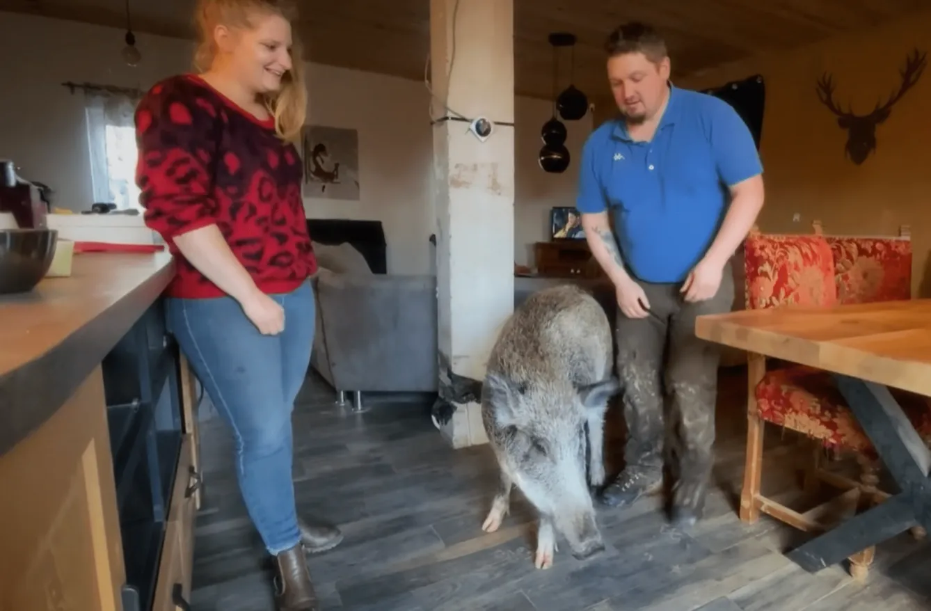 Ґреґорі не зміг залишити беззахисну тваринку в лісі, де вона швидше за все загинула б Ґреґорі не зміг залишити беззахисну тваринку в лісі, де вона швидше за все загинула б