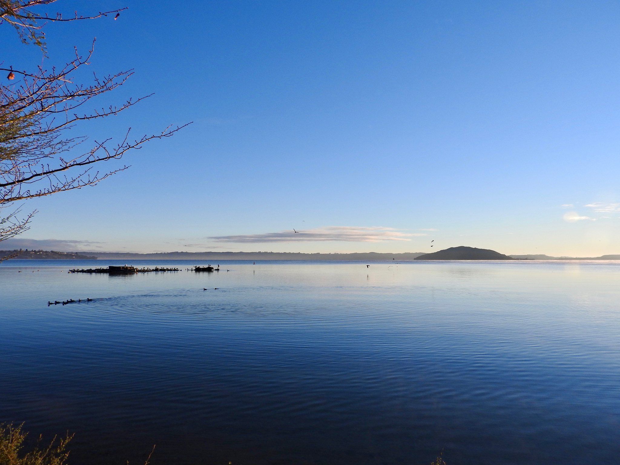 озера Роторуа озера Роторуа