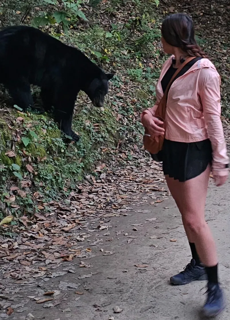Блогершу преследовал по парку ужасный черный медведь