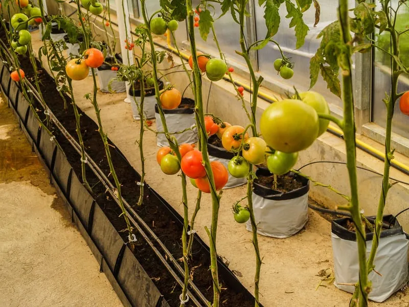 Нужно убрать мусор Нужно убрать мусор