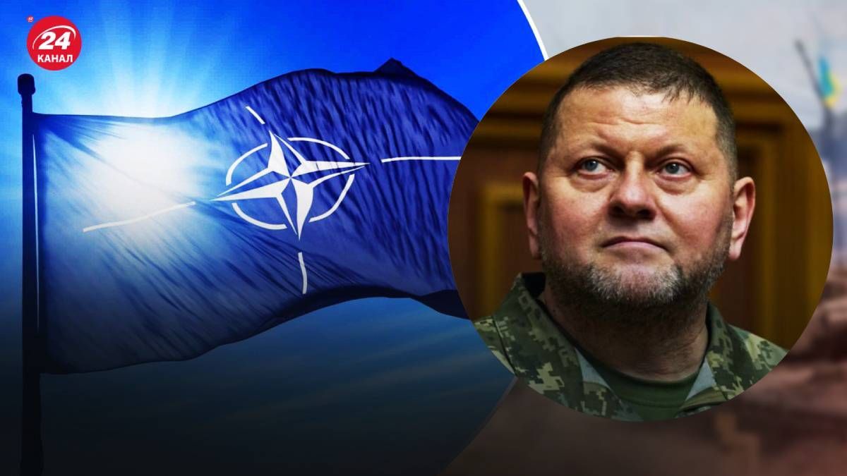 В США отреагировали на увольнение Залужного В США отреагировали на увольнение Залужного