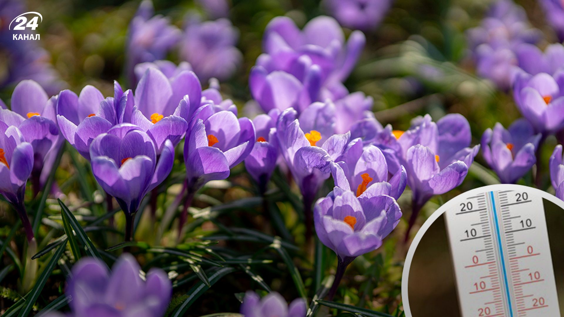 Где пригреет почти до 20 градусов - 24 Канал Где пригреет почти до 20 градусов - 24 Канал