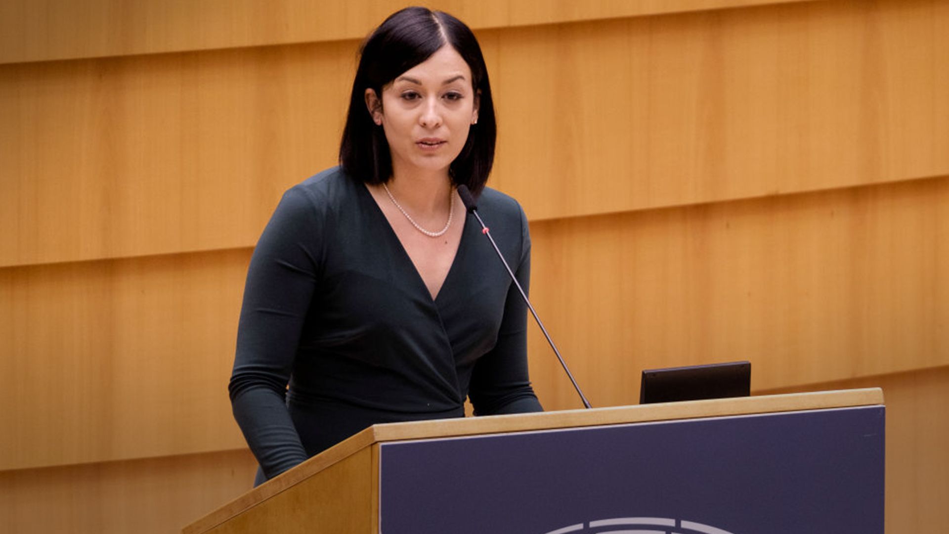 Каталин Чех о 20 миллиардах евро - 24 Канал Каталин Чех о 20 миллиардах евро - 24 Канал