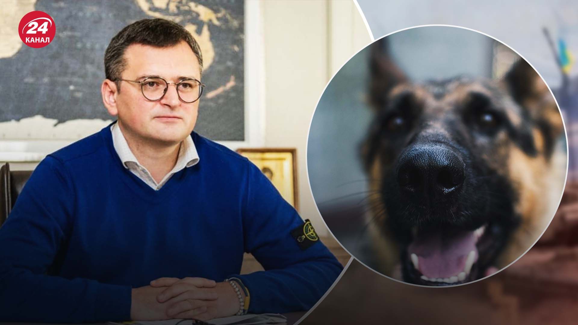 Міністр Кулеба показав рани після нападу чужого собаки Міністр Кулеба показав рани після нападу чужого собаки
