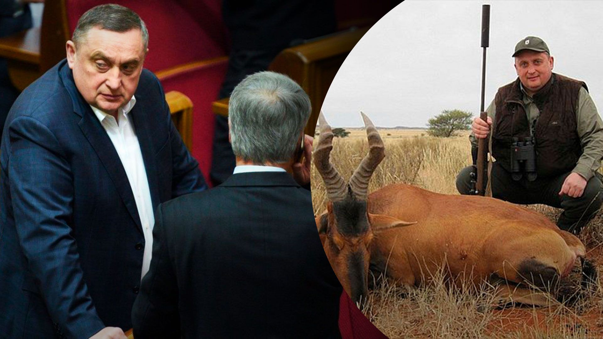 Колишній нардеп Дубневич задекларував опудала диких тварин Колишній нардеп Дубневич задекларував опудала диких тварин