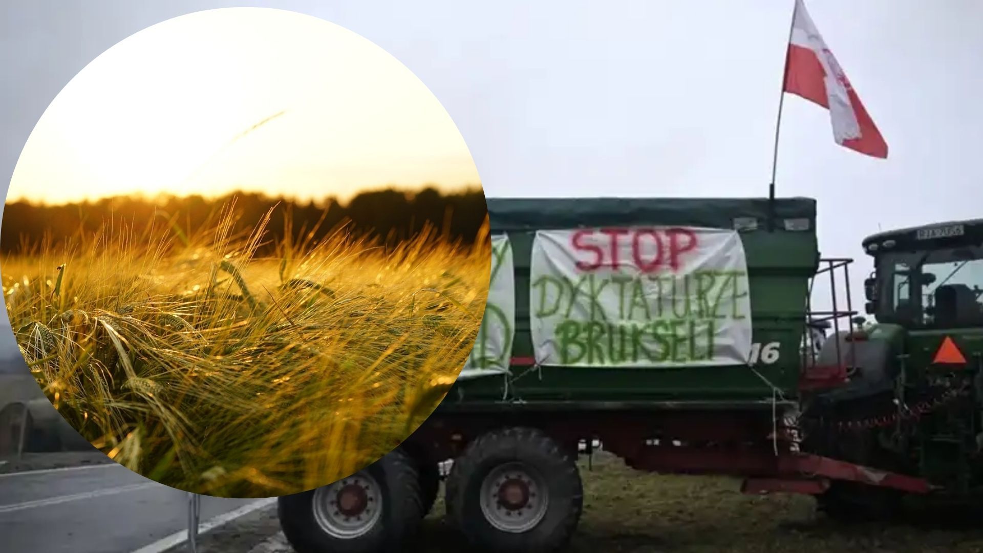 Поляки готуються "закрити зернове питання" Поляки готуються "закрити зернове питання"