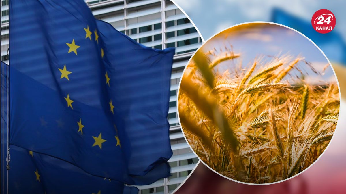 У ЄС пропонують компроміс щодо зернового питання - 24 Канал