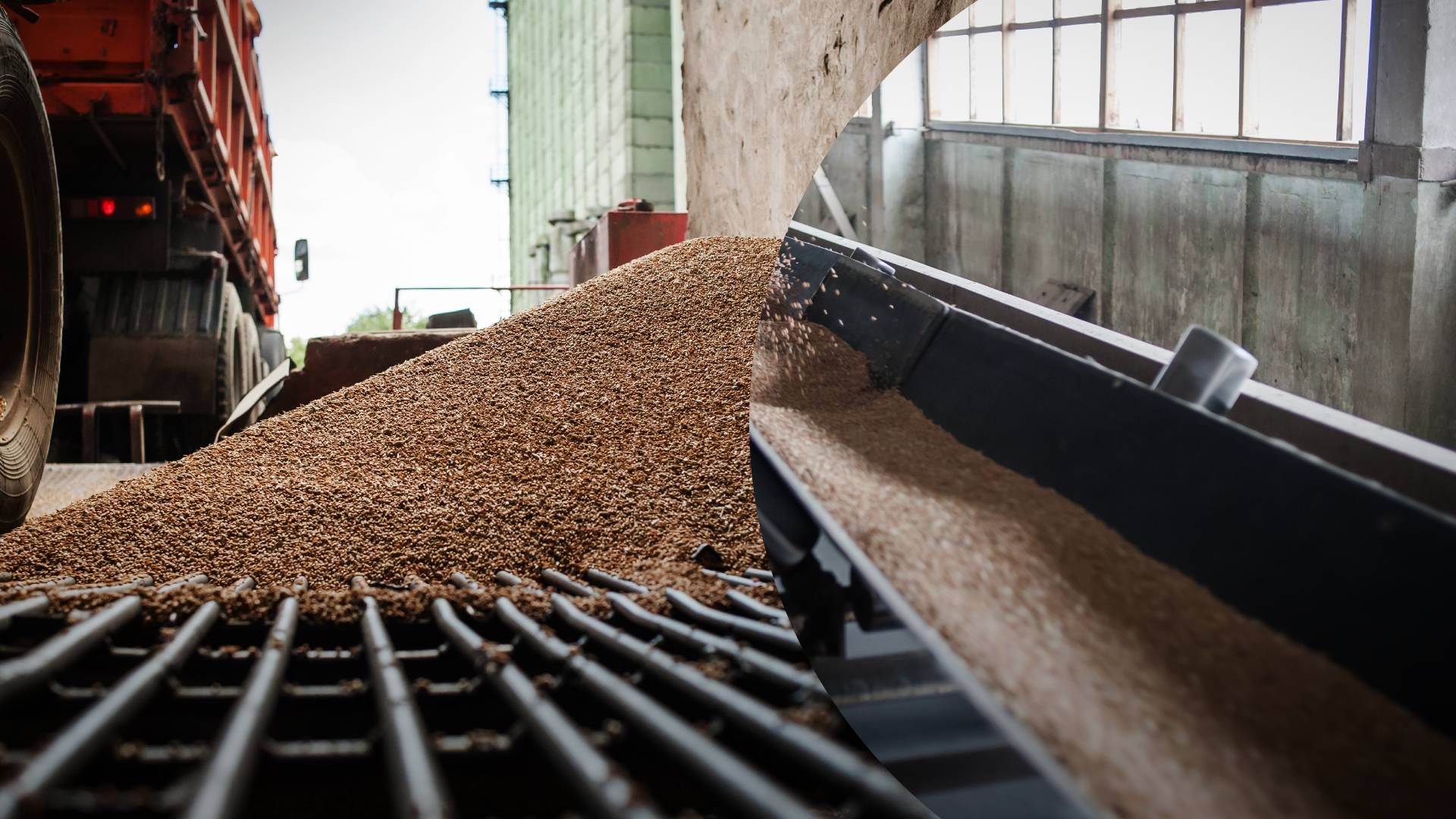 Экономика Запрет зерна и ограничения еще трех продуктов: в чем Украина, Польша и Брюссель злятся - Экономика Экономика Запрет зерна и ограничения еще трех продуктов: в чем Украина, Польша и Брюссель злятся - Экономика