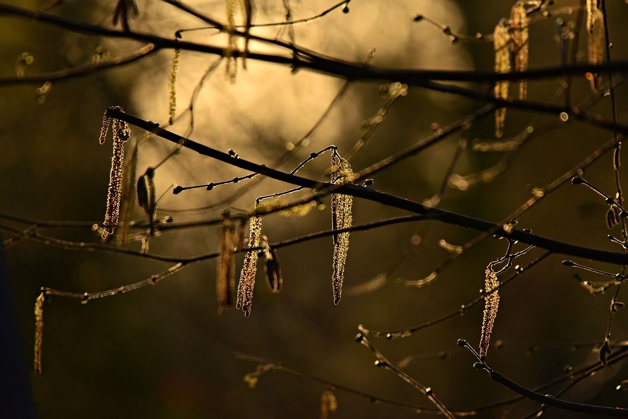 Прогноз погоды на 17 февраля Прогноз погоды на 17 февраля