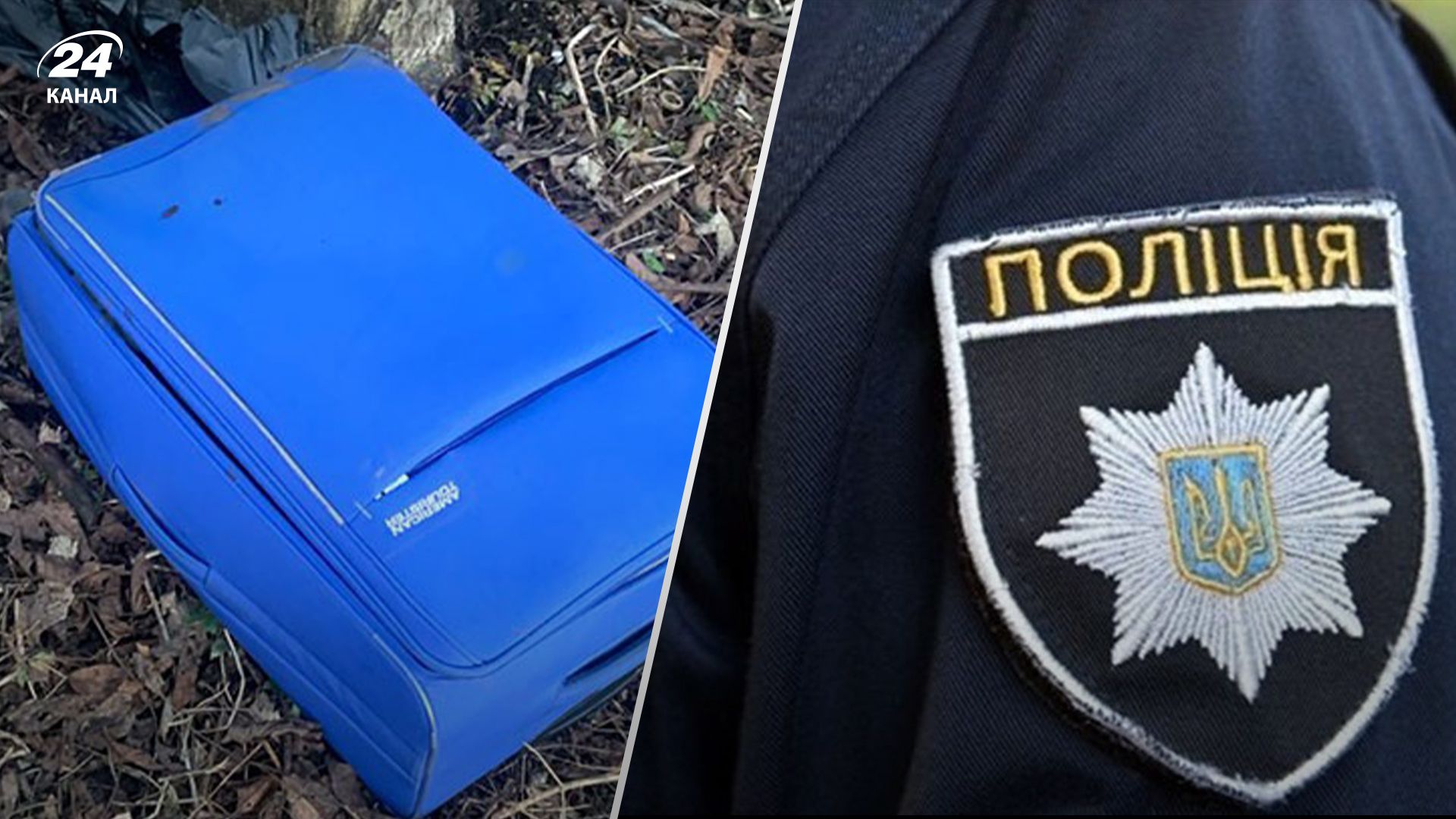 У парку Тернополя знайшли валізу з трупом жінки 
