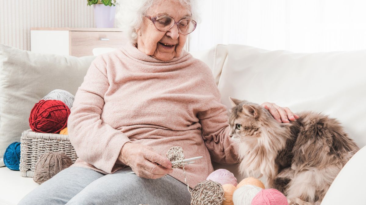 Виплати пенсіонерам Виплати пенсіонерам