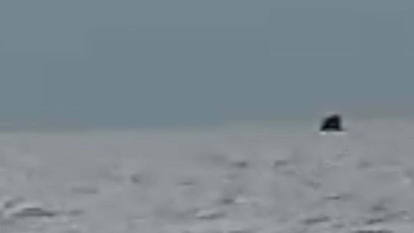 Кадры сбития вражеских истребителей под Мариуполем Кадры сбития вражеских истребителей под Мариуполем