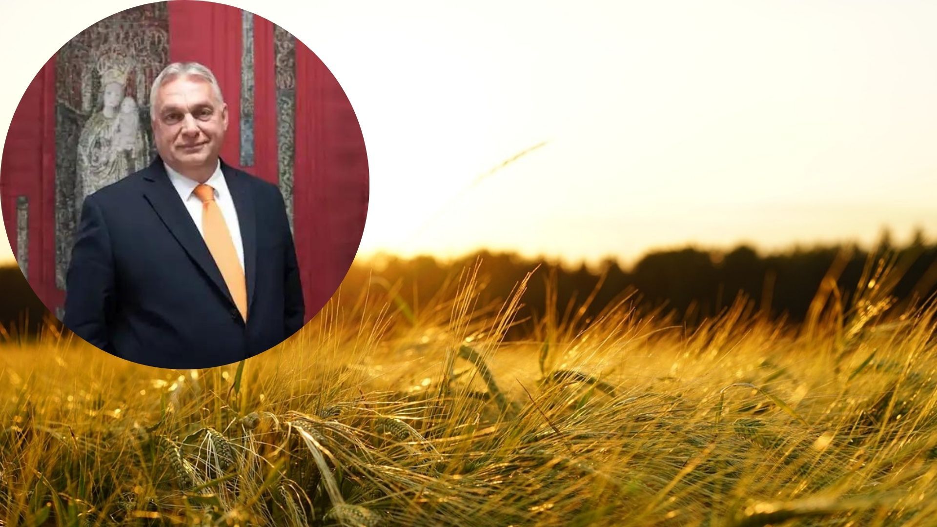 Орбан мріє про закриття ринку ЄС для агропродукції з України Орбан мріє про закриття ринку ЄС для агропродукції з України