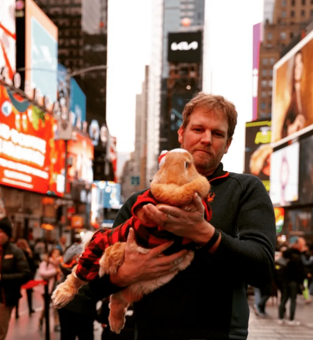 30-килограммовый кролик Алекс стал звездой социальных сетей 30-килограммовый кролик Алекс стал звездой социальных сетей