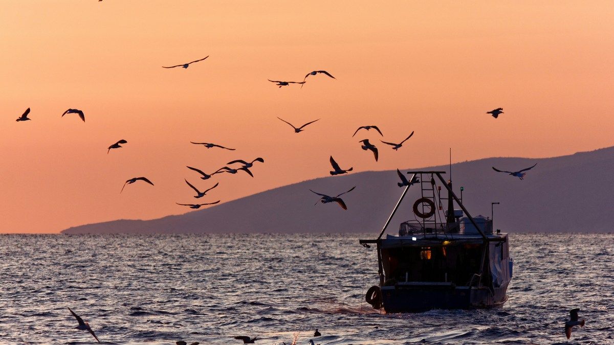 Филиппины официально обвинили китайских рыбаков в отравлении вод отмели Скарборо Филиппины официально обвинили китайских рыбаков в отравлении вод отмели Скарборо