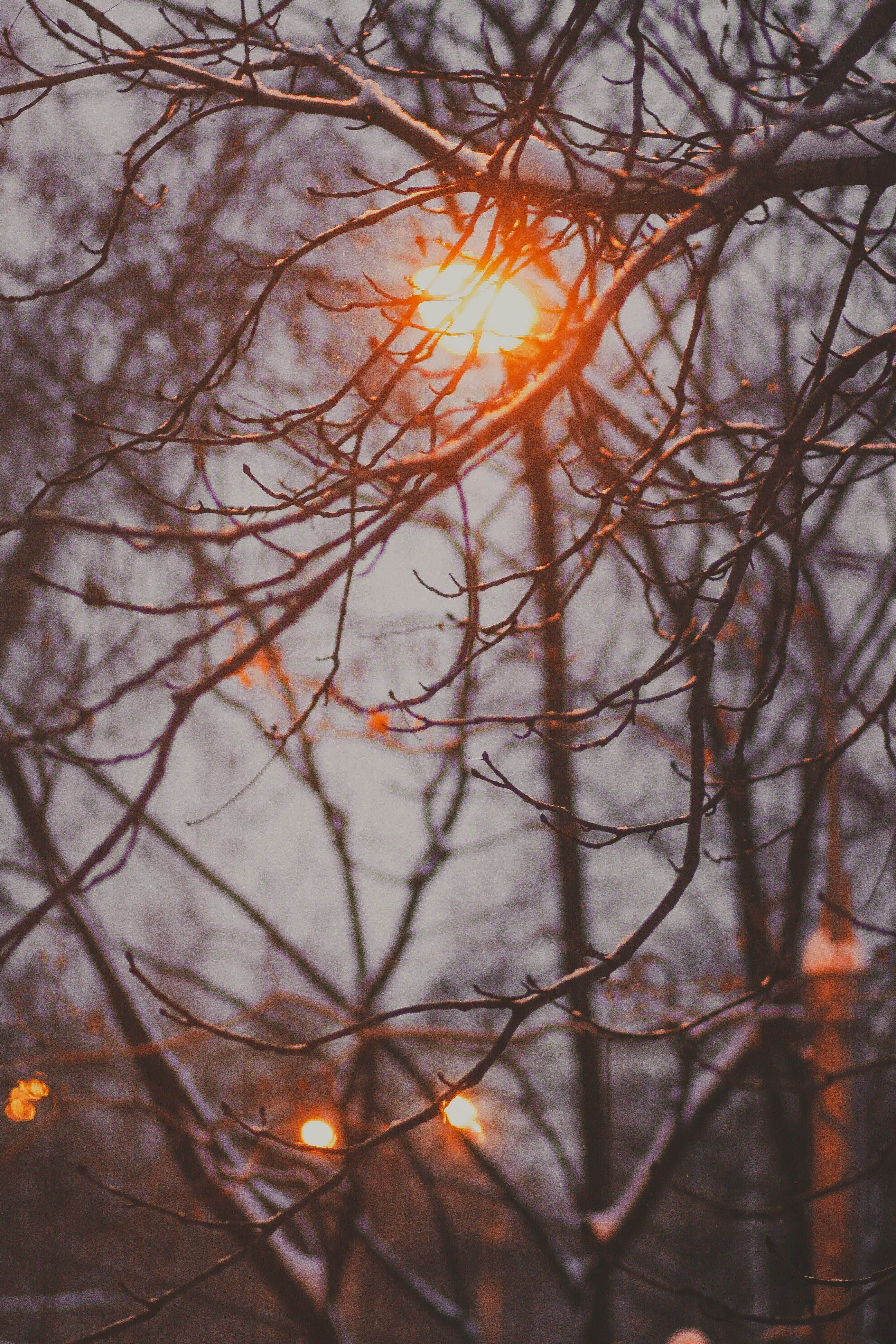 В Україну прийшло передвесняне потепління В Україну прийшло передвесняне потепління