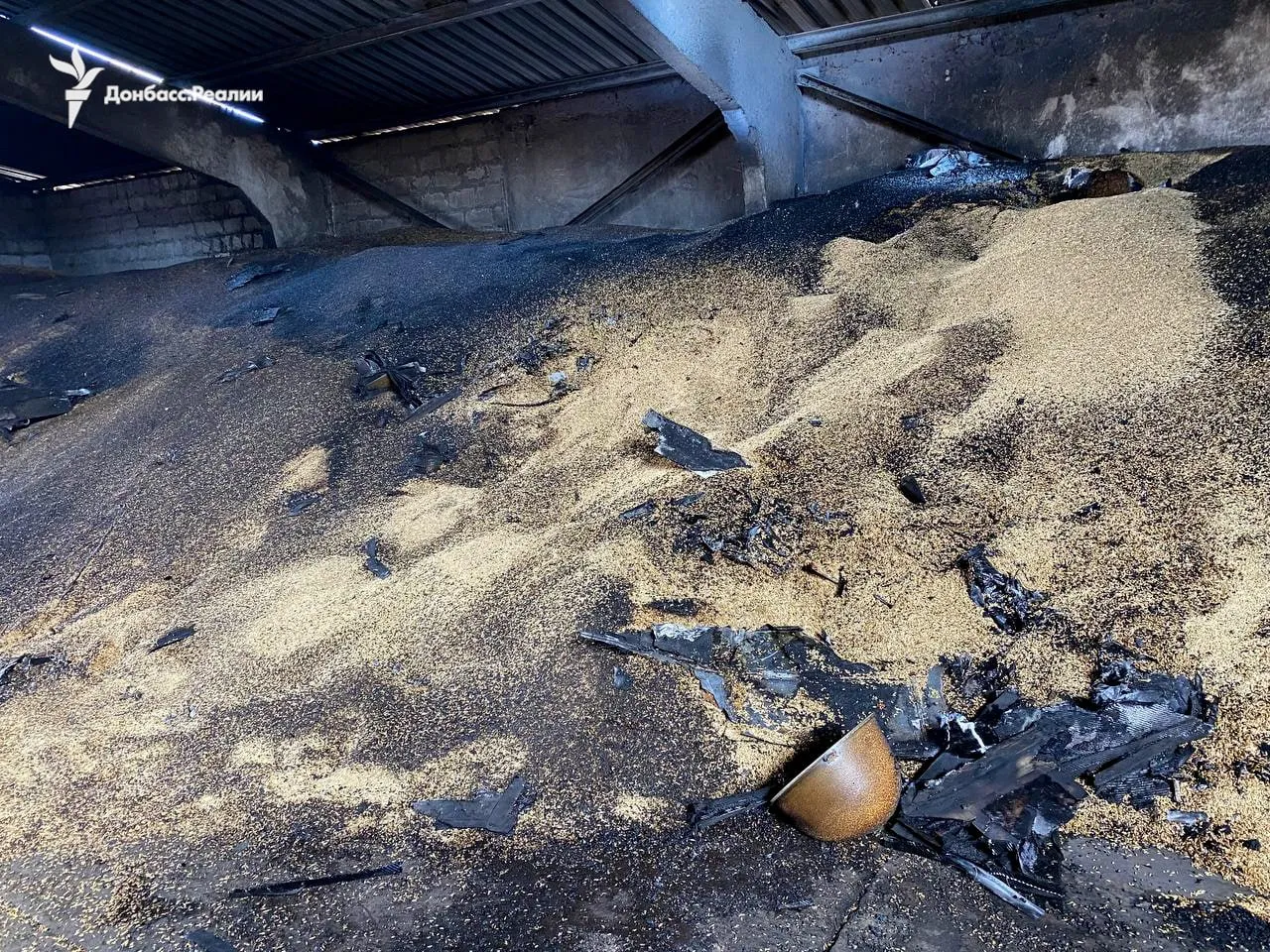 зерно зерно