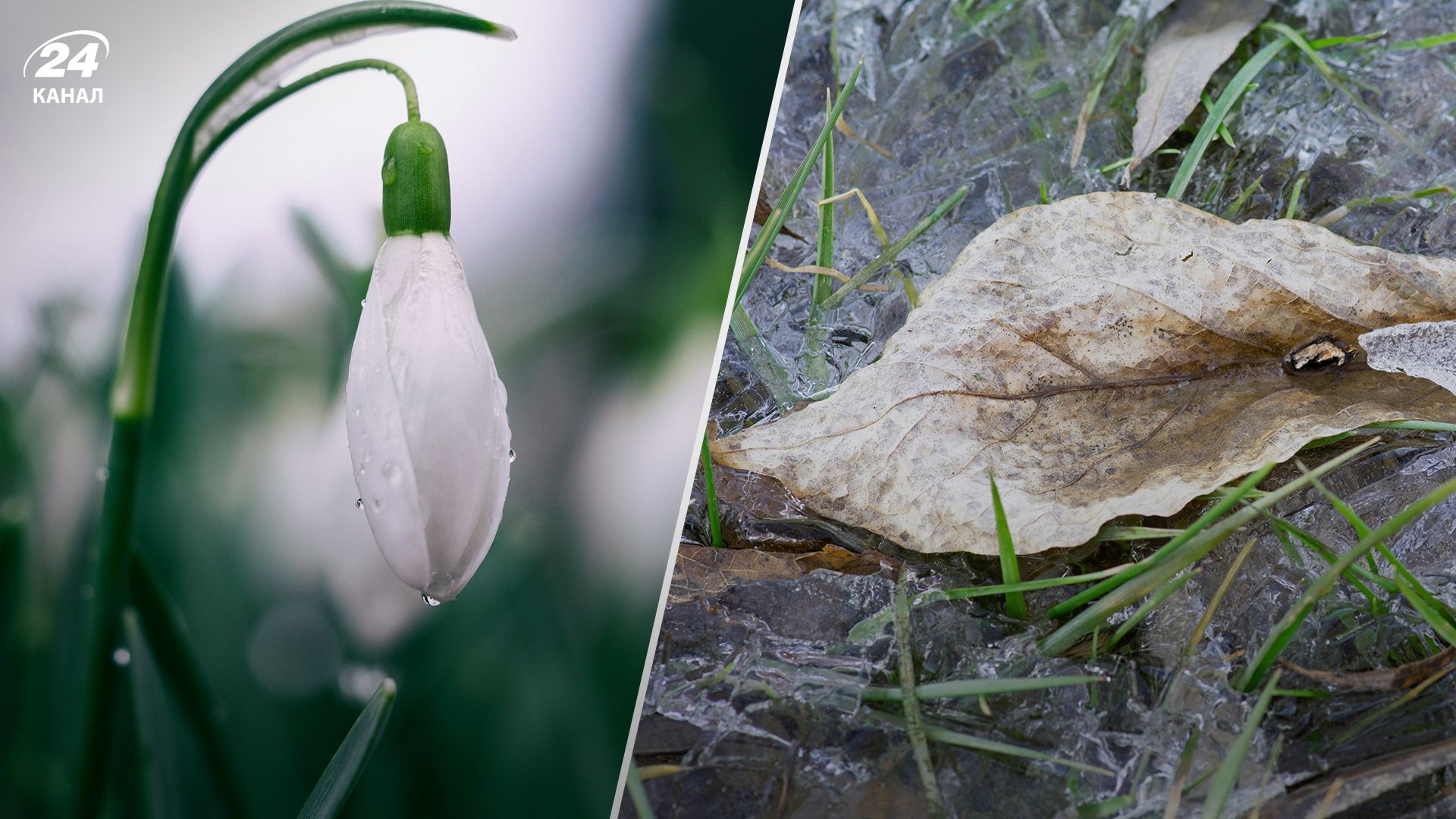 Погода на початок весни - 24 Канал Погода на початок весни - 24 Канал