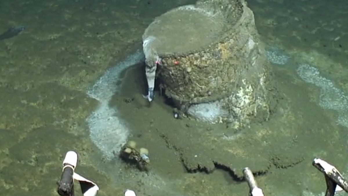 Бочки на глибині 914 метрів під водою біля острова Санта-Каталіна Бочки на глибині 914 метрів під водою біля острова Санта-Каталіна