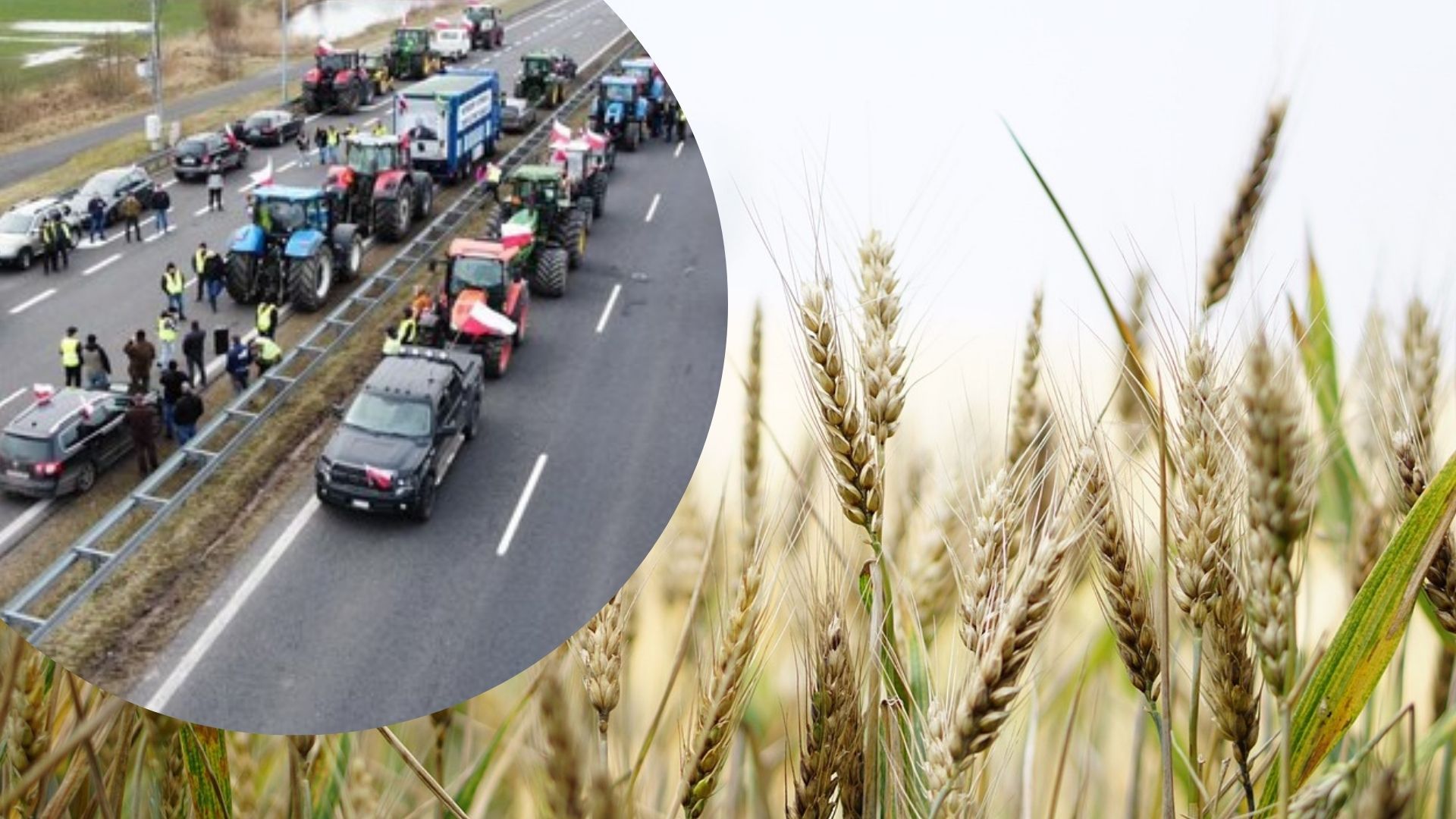 Поляки хочуть перекрити кордон з Німеччиною та Литвою Поляки хочуть перекрити кордон з Німеччиною та Литвою