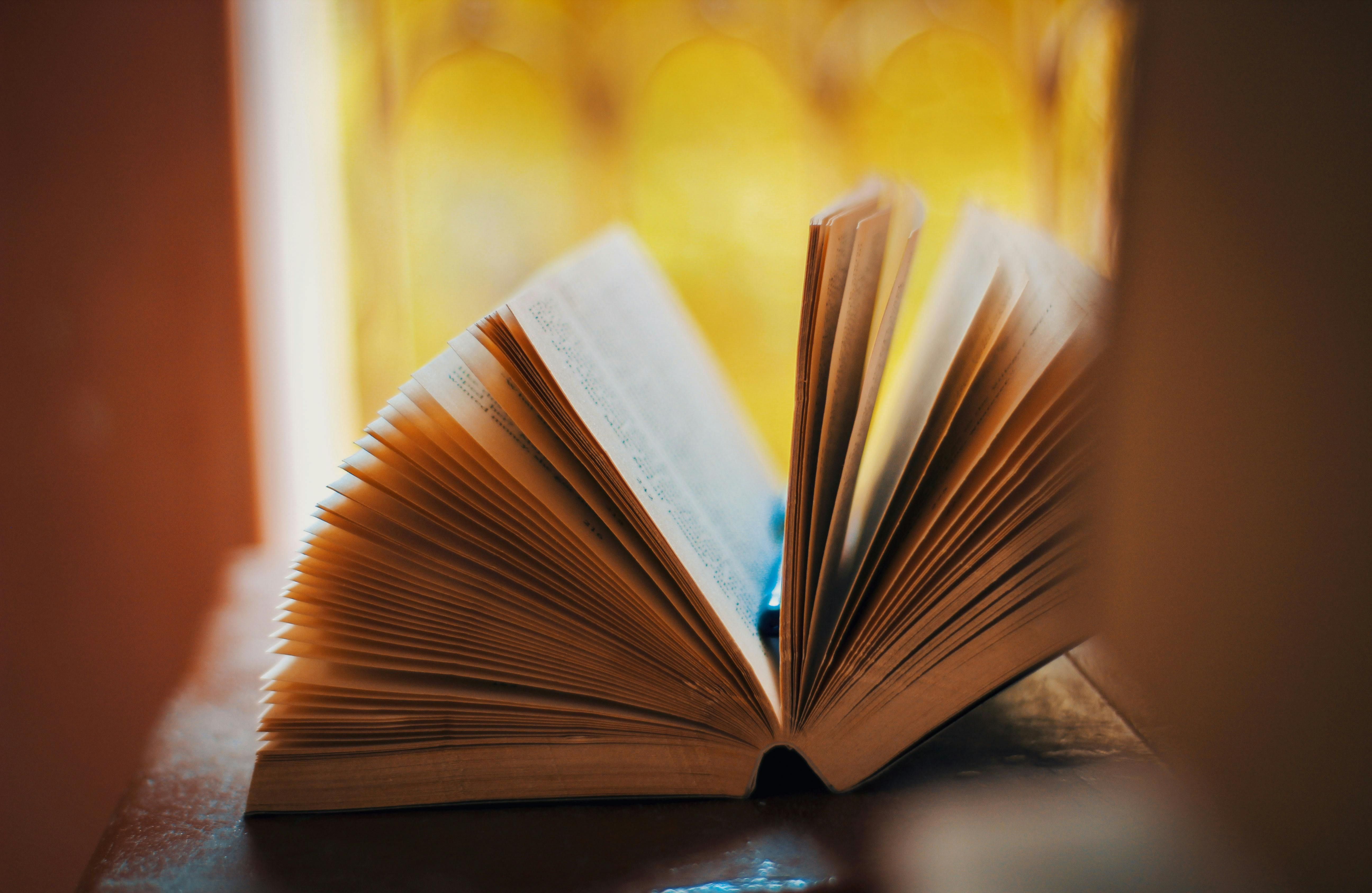 Что прочитать весной о любви - подборка романтических книг