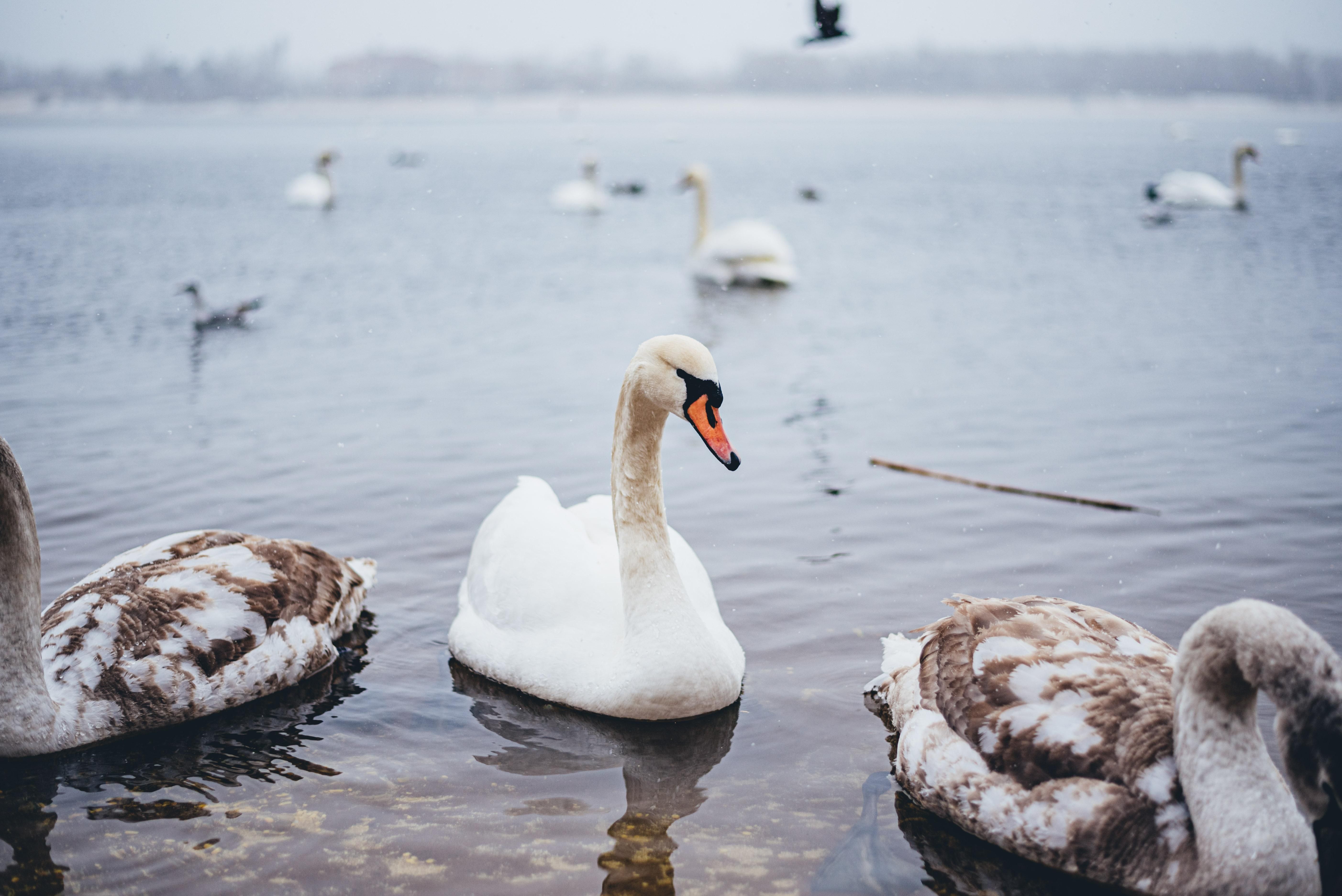 Погода в Україні - 24 Канал Погода в Україні - 24 Канал