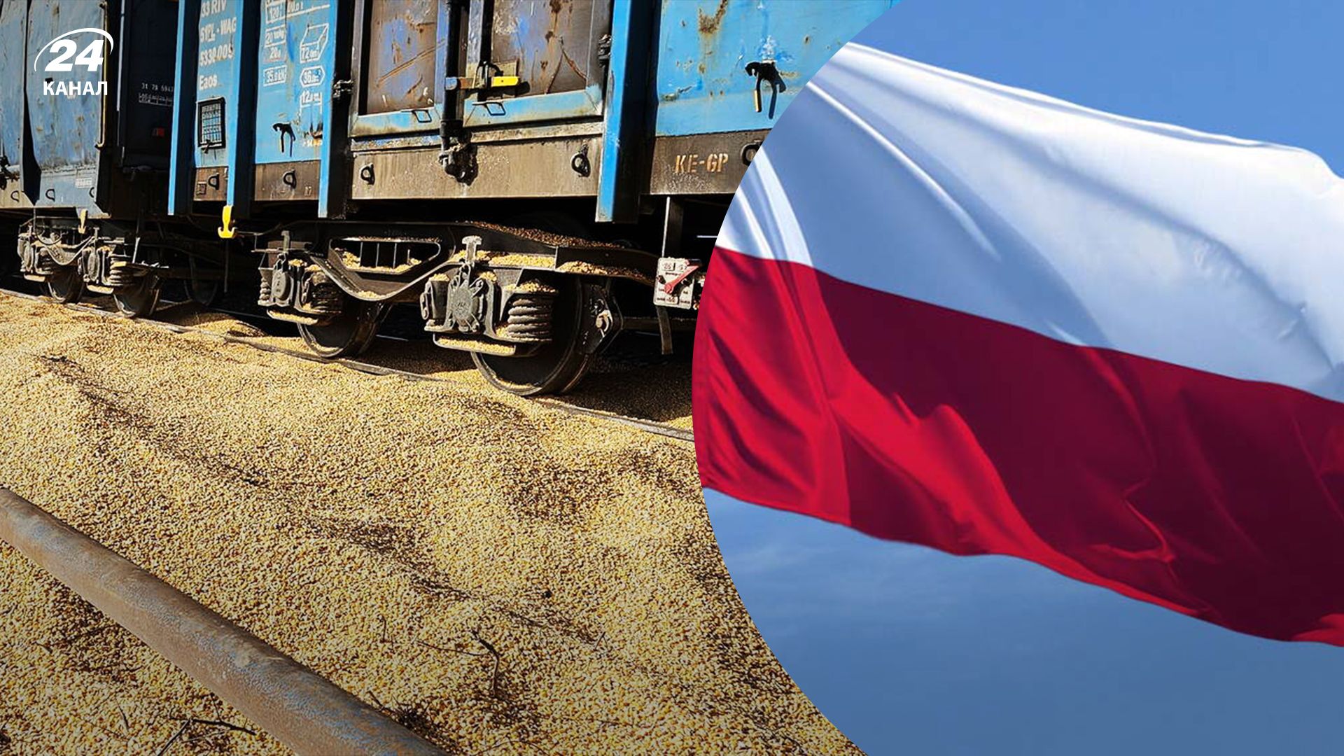 Частину українського зерна, яка розсипалася з вагонів через диверсію, у Польщі утилізують