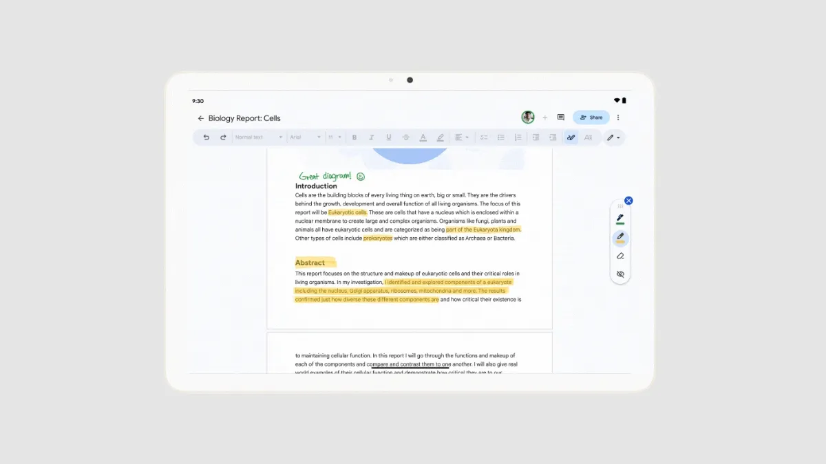 Рукописные примечания к Документам Рукописные примечания к Документам