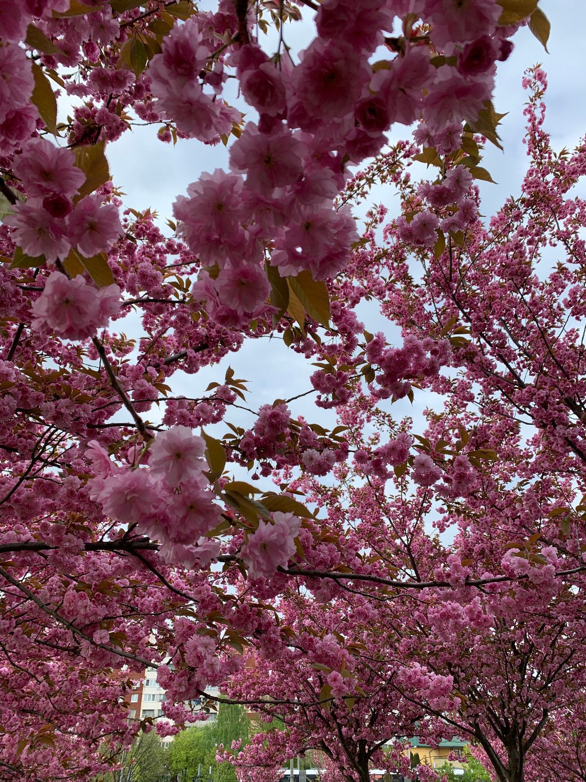 Погода на март - 24 Канал Погода на март - 24 Канал