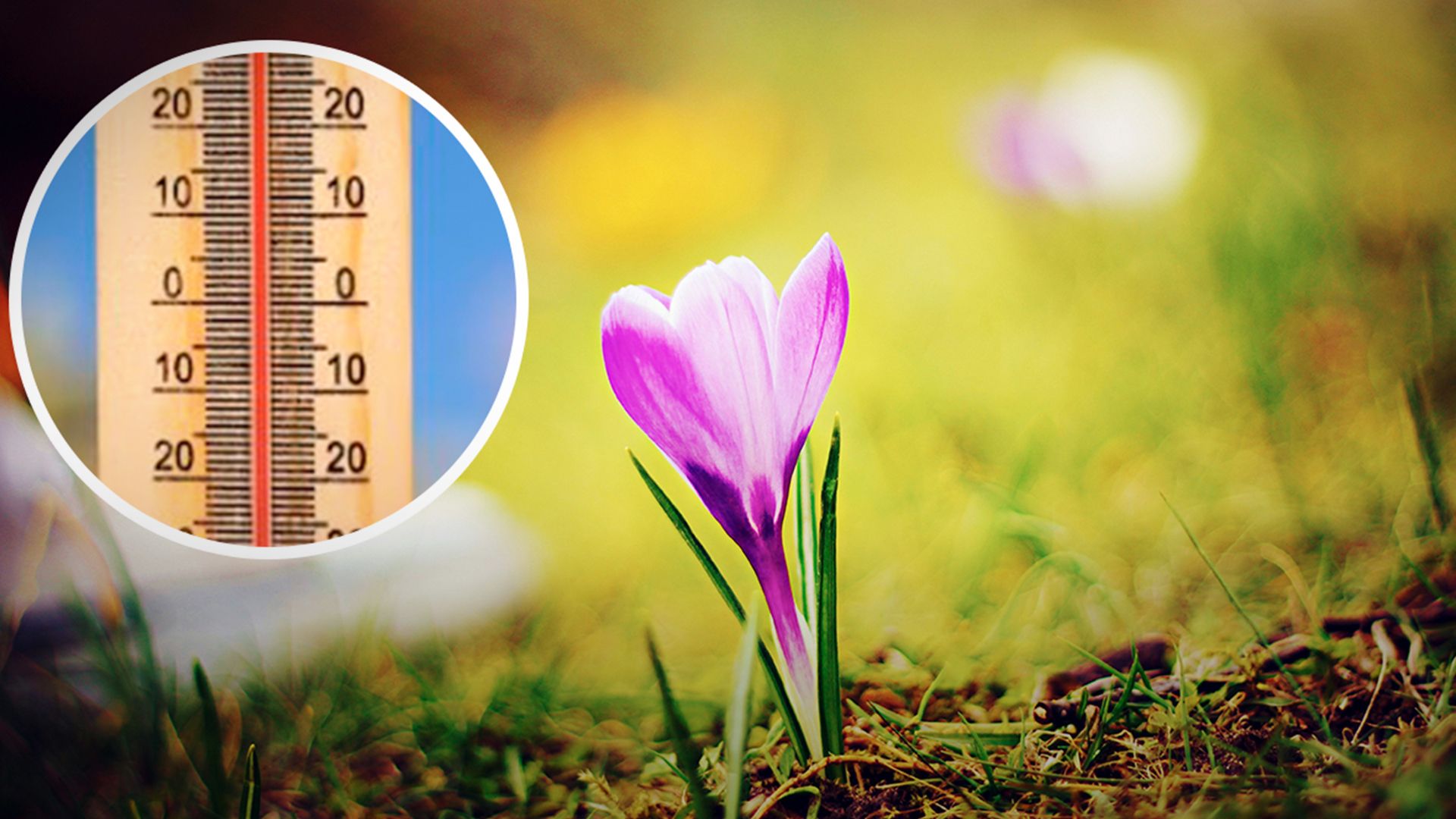 Погода на начало марта - 24 Канал Погода на начало марта - 24 Канал