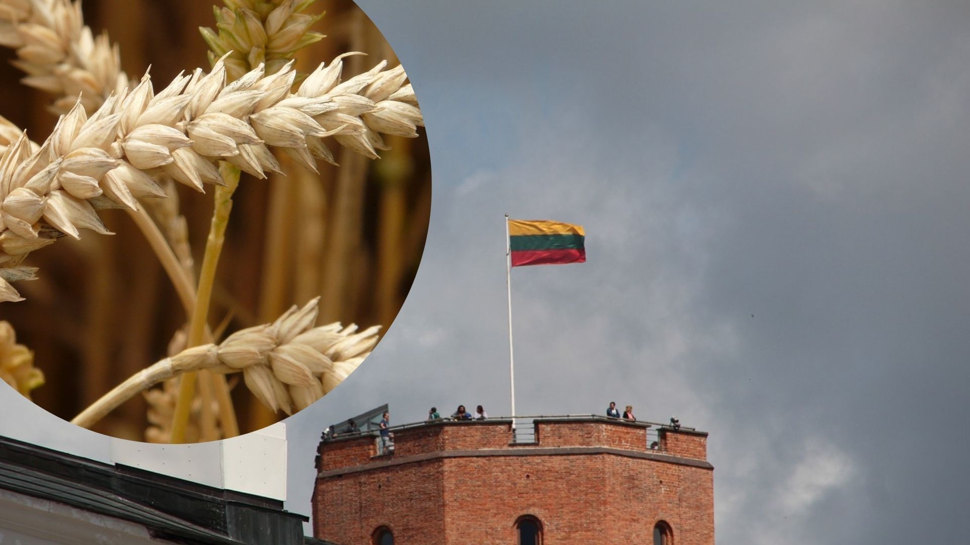 Литва заборонить російське зерно 