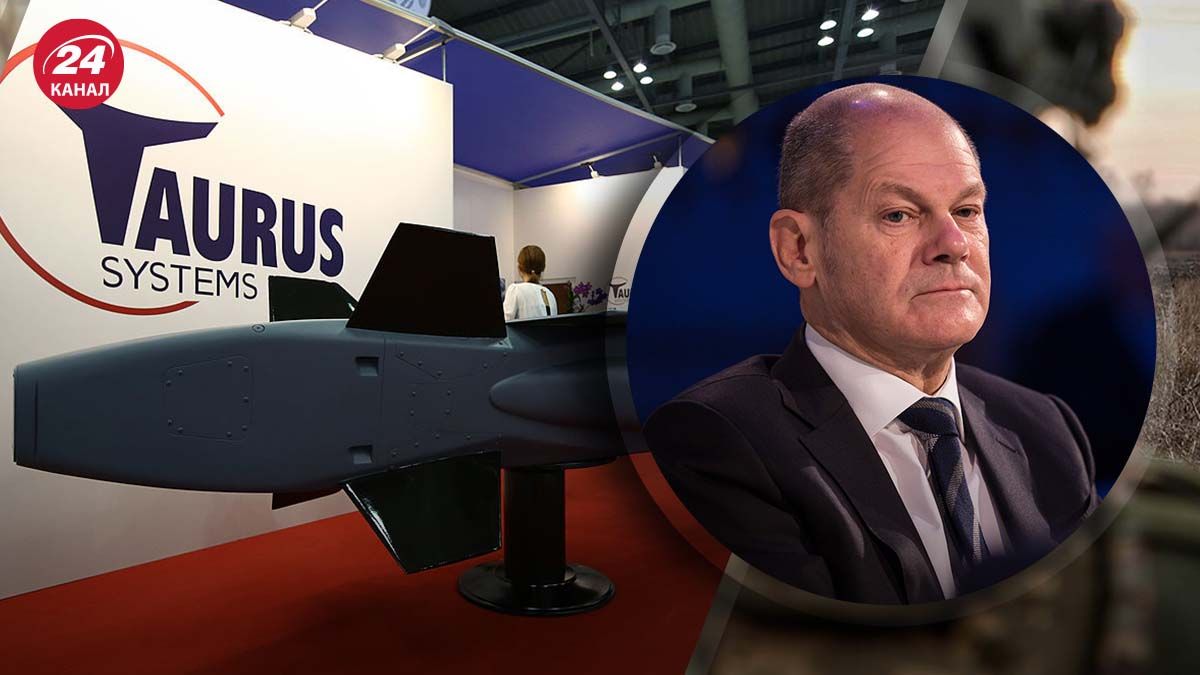 Реакция евродепутата на решение Шольца не давать ракеты Taurus