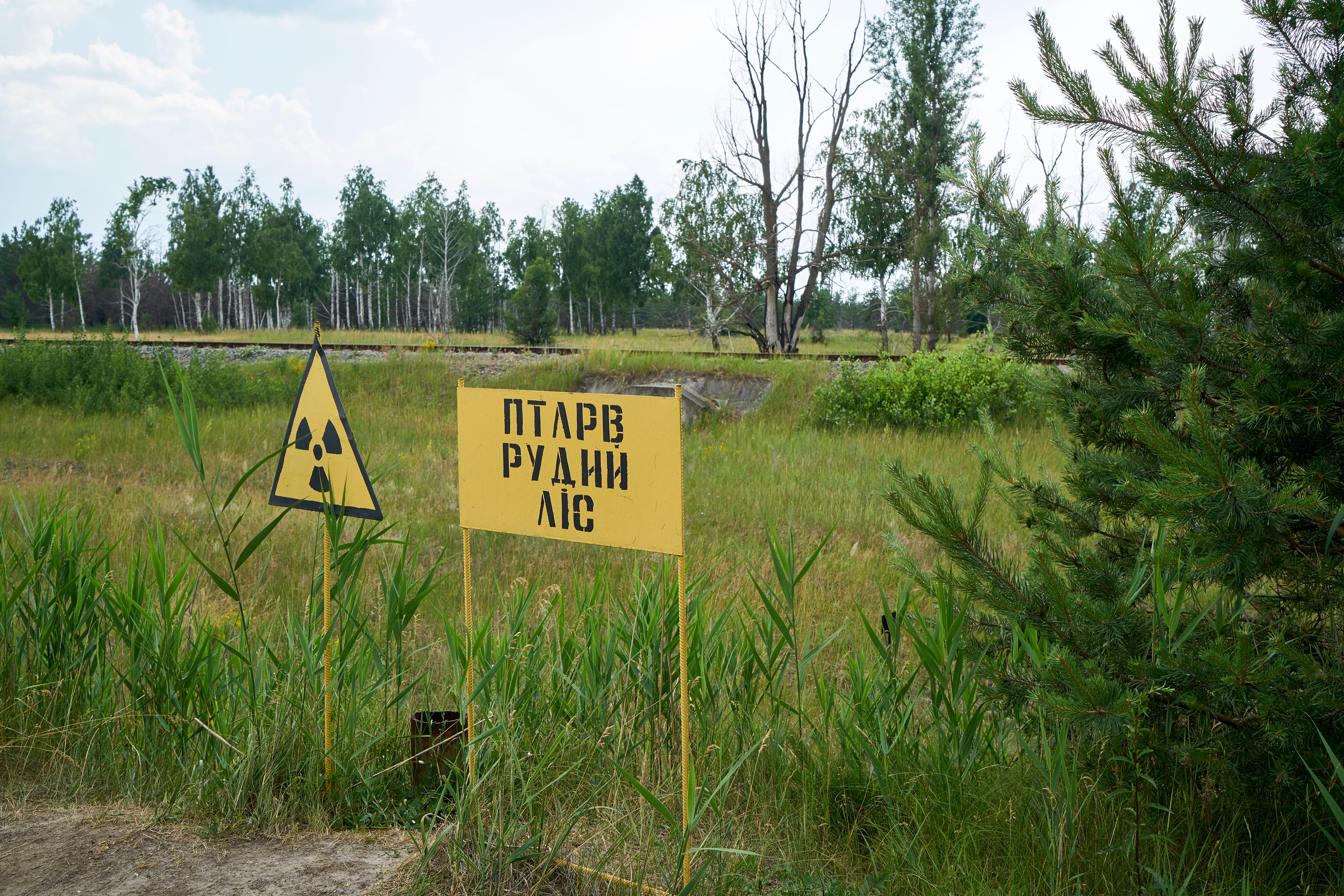 Росіяни рили окопи в Рудому лісі біля ЧАЕС - чи всі загинули - коментар ГУР - 24 Канал