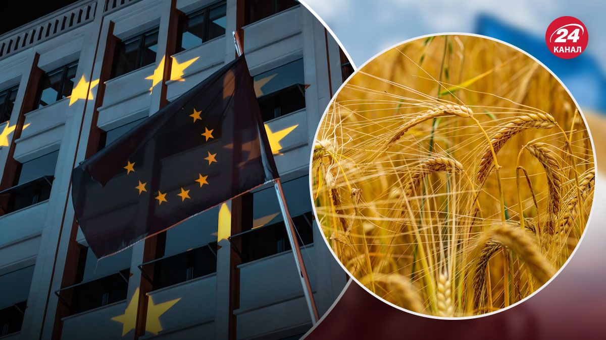 Нові заходи ЄС щодо зернового питання - 24 Канал