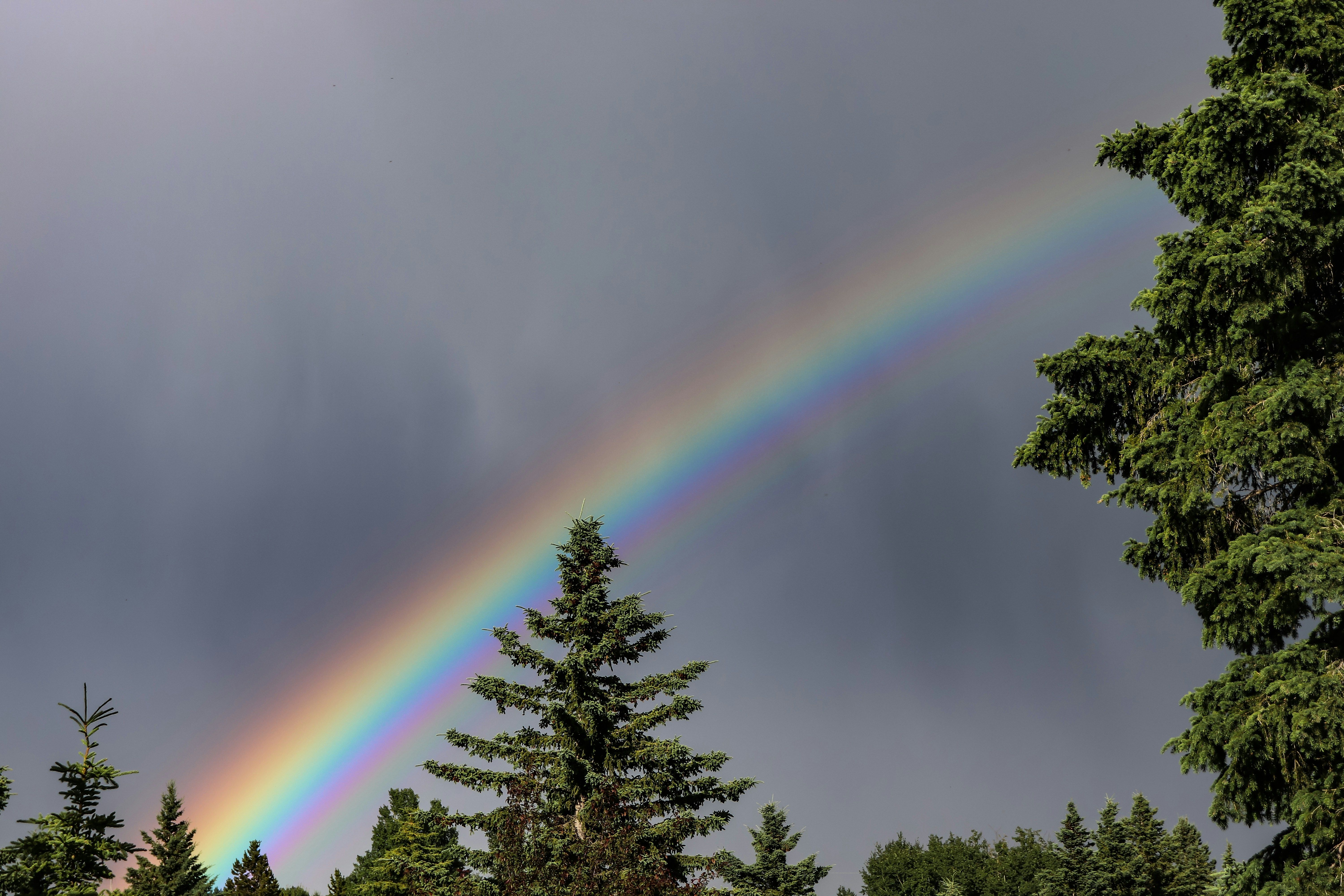 Прогноз погоди в Україні на 4 березня Прогноз погоди в Україні на 4 березня