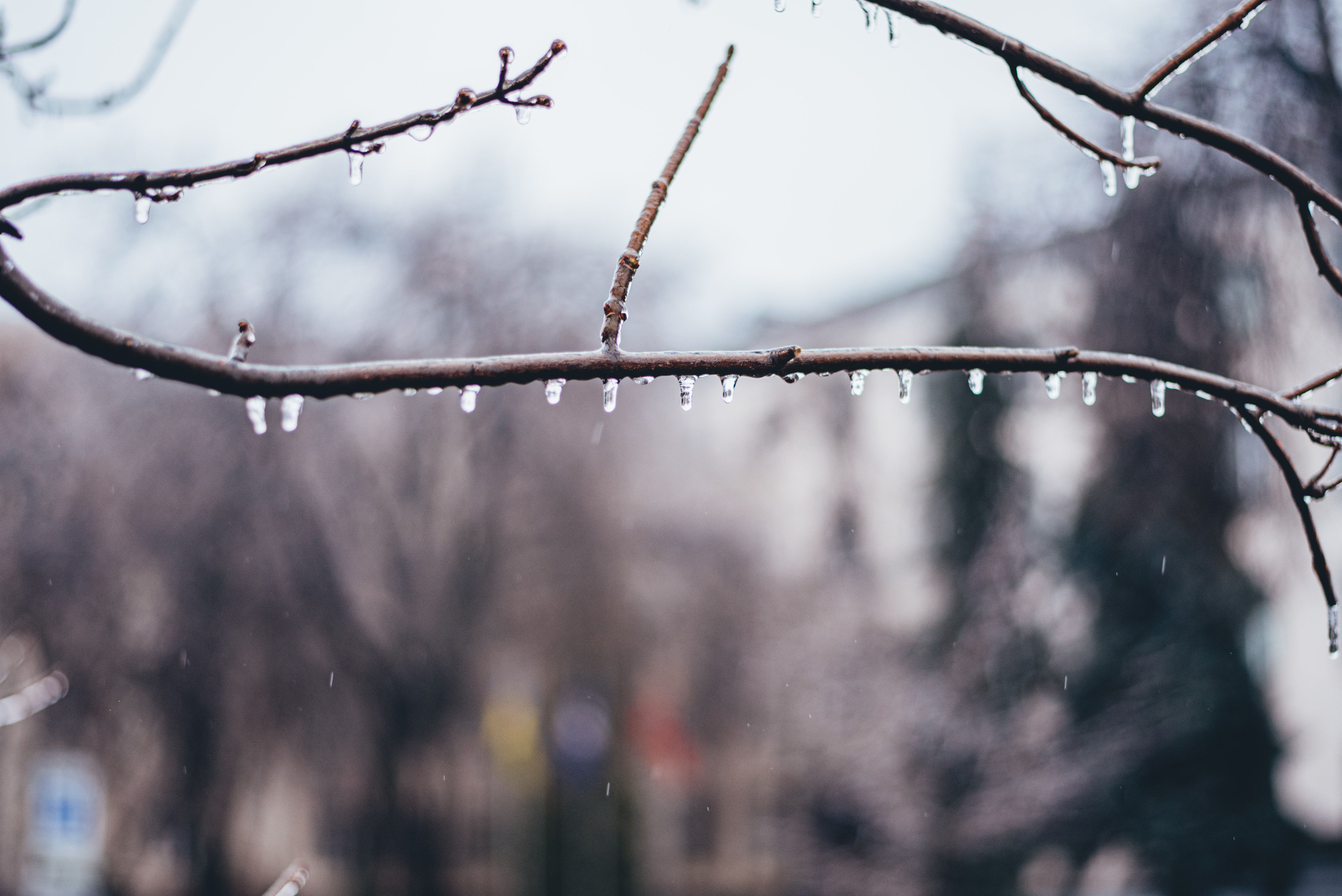 Где еще будет мороз весной - 24 Канал Где еще будет мороз весной - 24 Канал