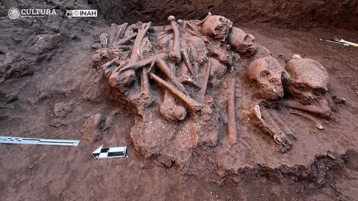 В Мексике нашли странное захоронение, в котором кости сложили кучами друг на друга
