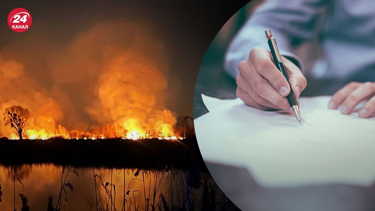 Пожар на Осокорках в Киеве - Stolitsa Group обратилась к правоохранителям - 24 Канал Пожар на Осокорках в Киеве - Stolitsa Group обратилась к правоохранителям - 24 Канал