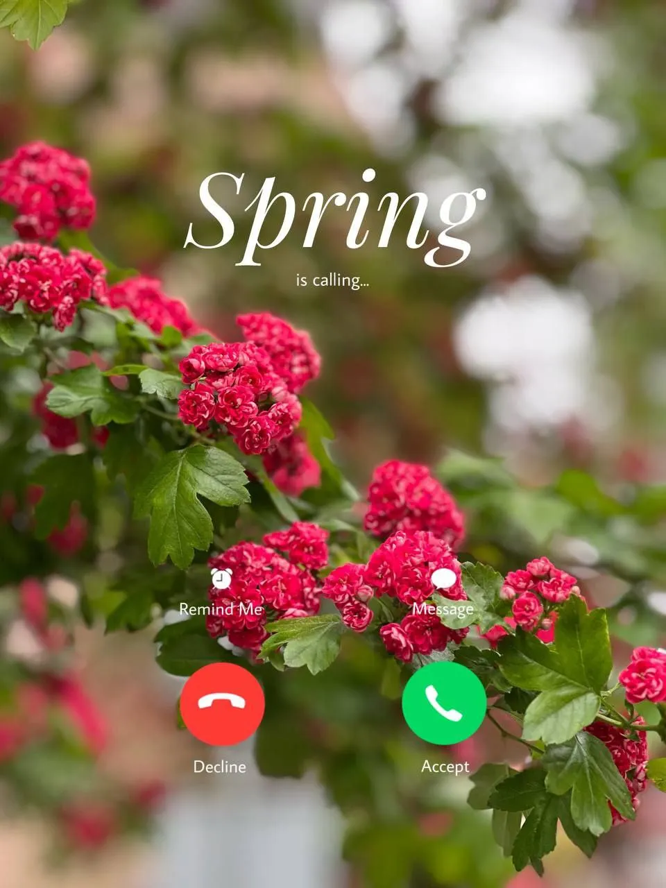 Поздравления с 8 марта для бабушки с 8 марта для бабушки Поздравления с 8 марта для бабушки с 8 марта для бабушки