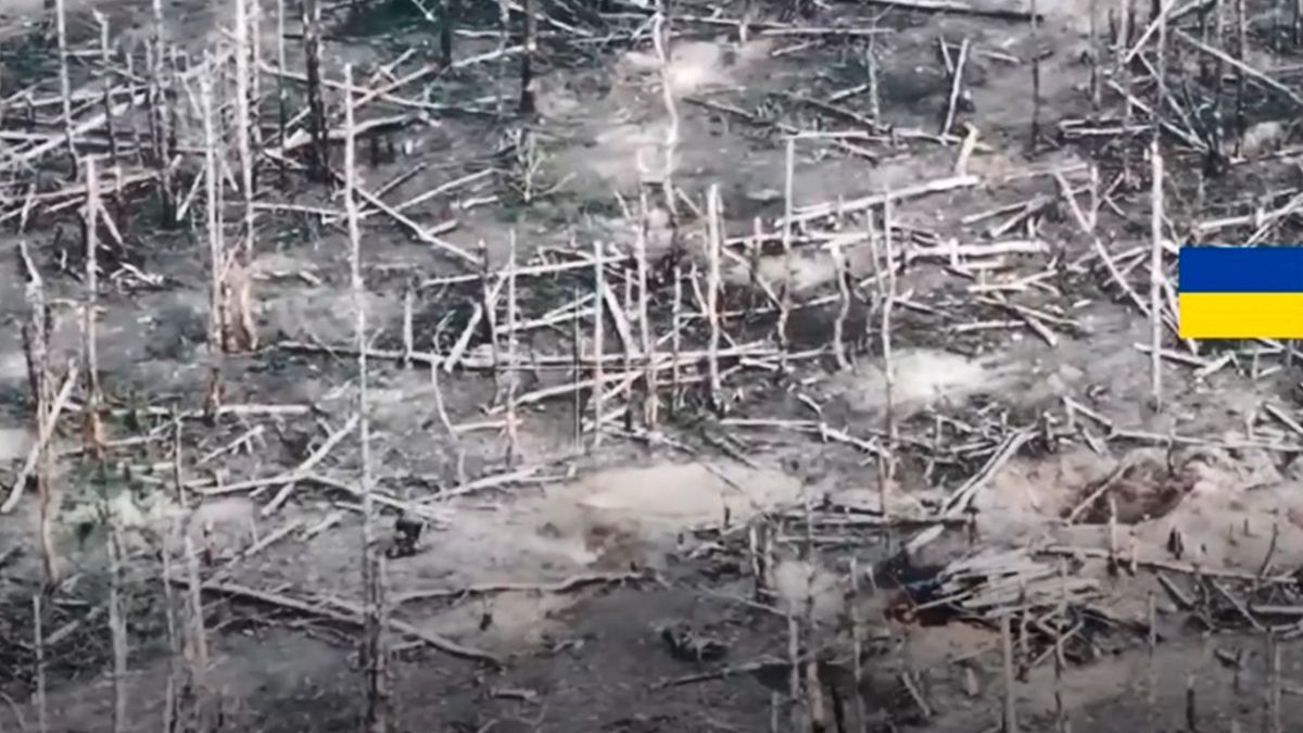 Бій десантників проти окупантів - 24 Канал Бій десантників проти окупантів - 24 Канал