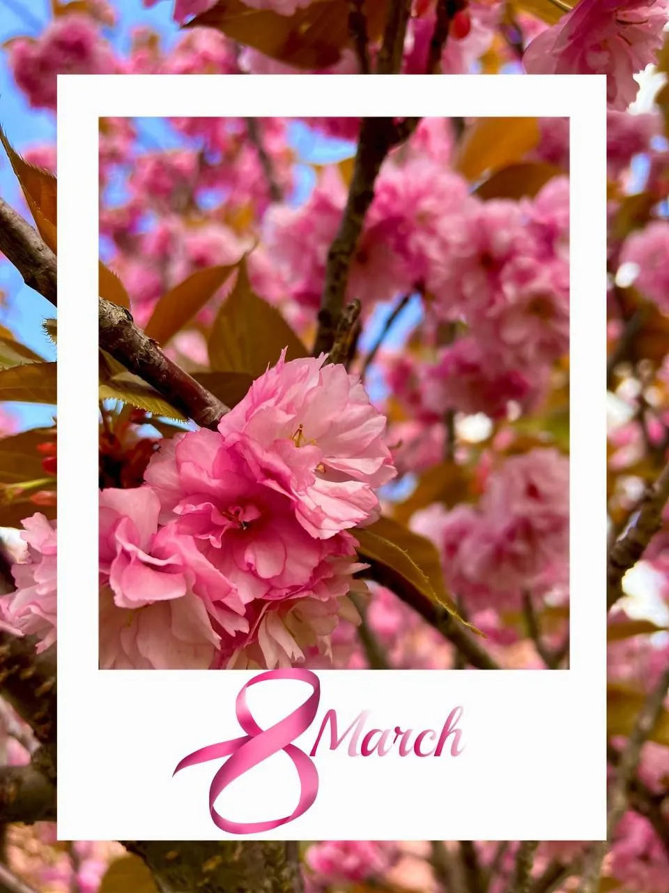 Міжнародний жіночий день 2024 Міжнародний жіночий день 2024