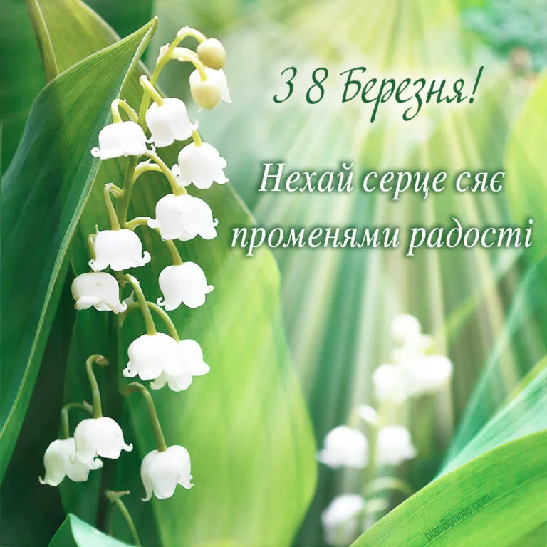 Міжнародний жіночий день 2024 Міжнародний жіночий день 2024