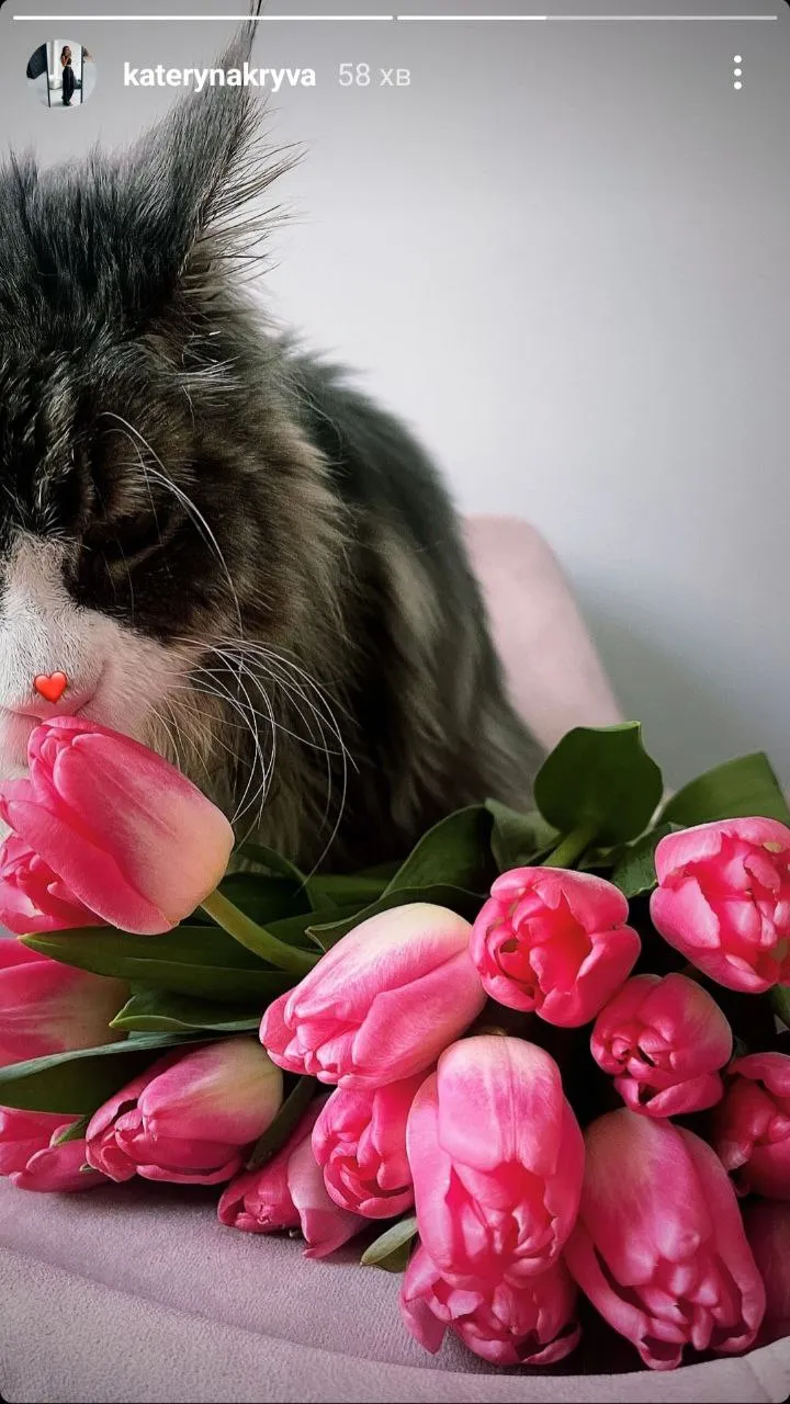 Кривая поздравила с 8 Марта Кривая поздравила с 8 Марта