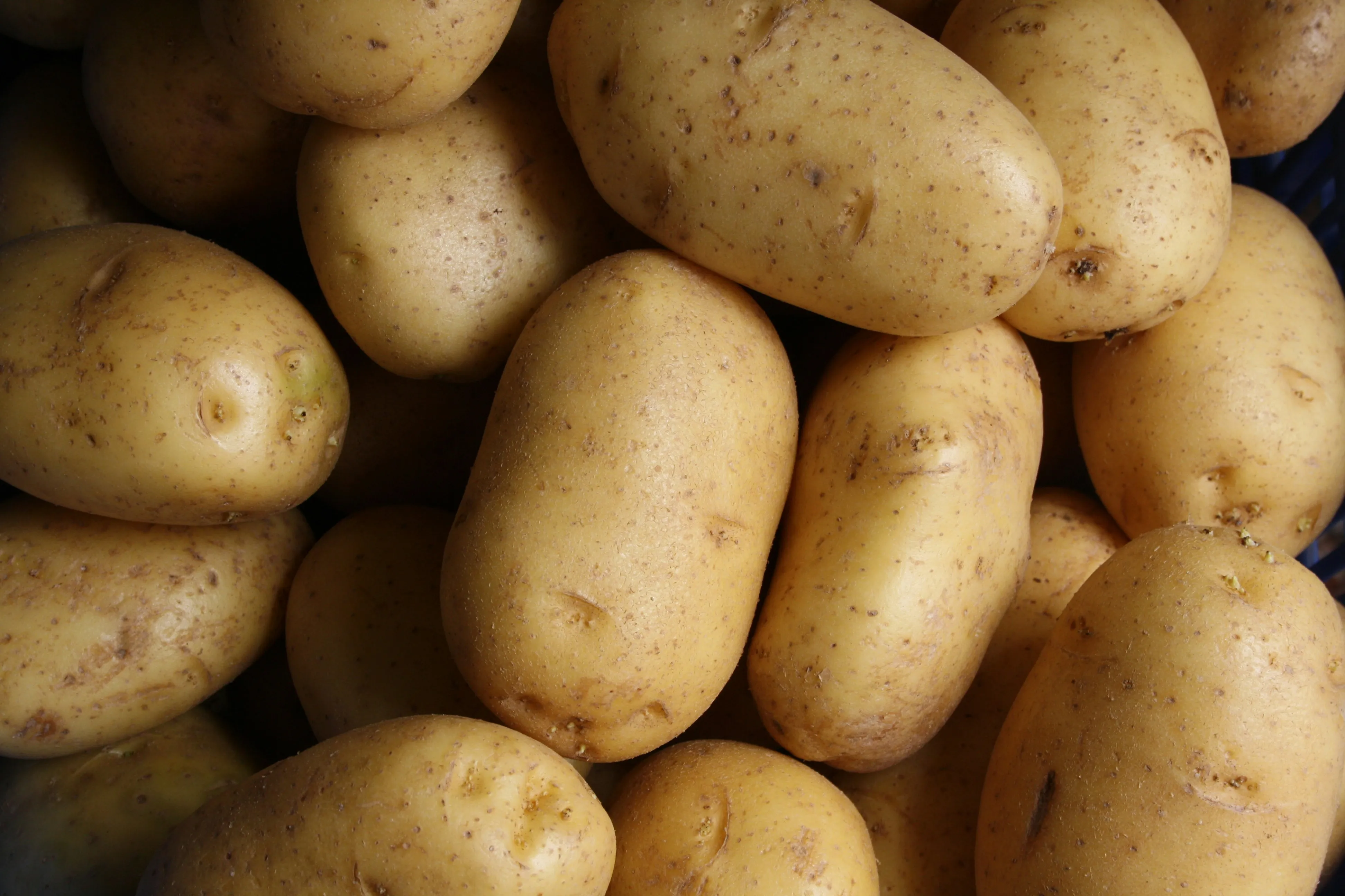 Как правильно хранить картофель