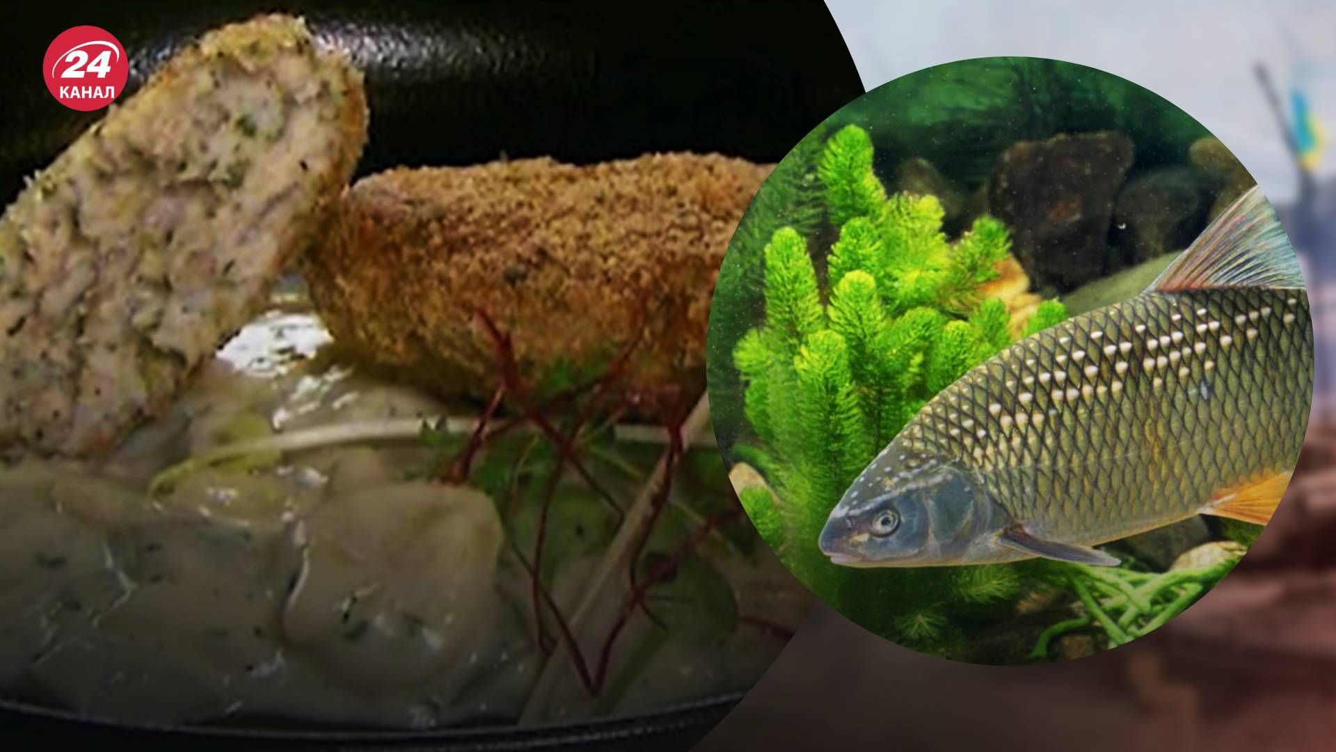 Страву приготували з рідкісної плітки дунайської Страву приготували з рідкісної плітки дунайської