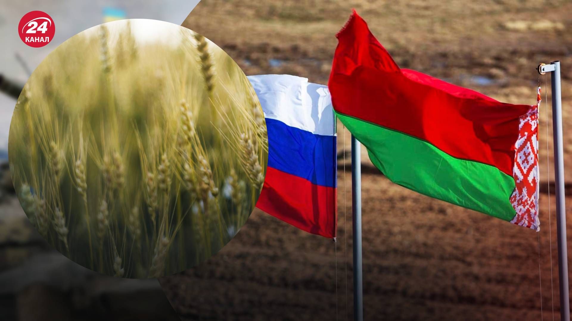 Єврокомісія планує обмежити імпорт зерна з Росії та Білорусі - 24 Канал