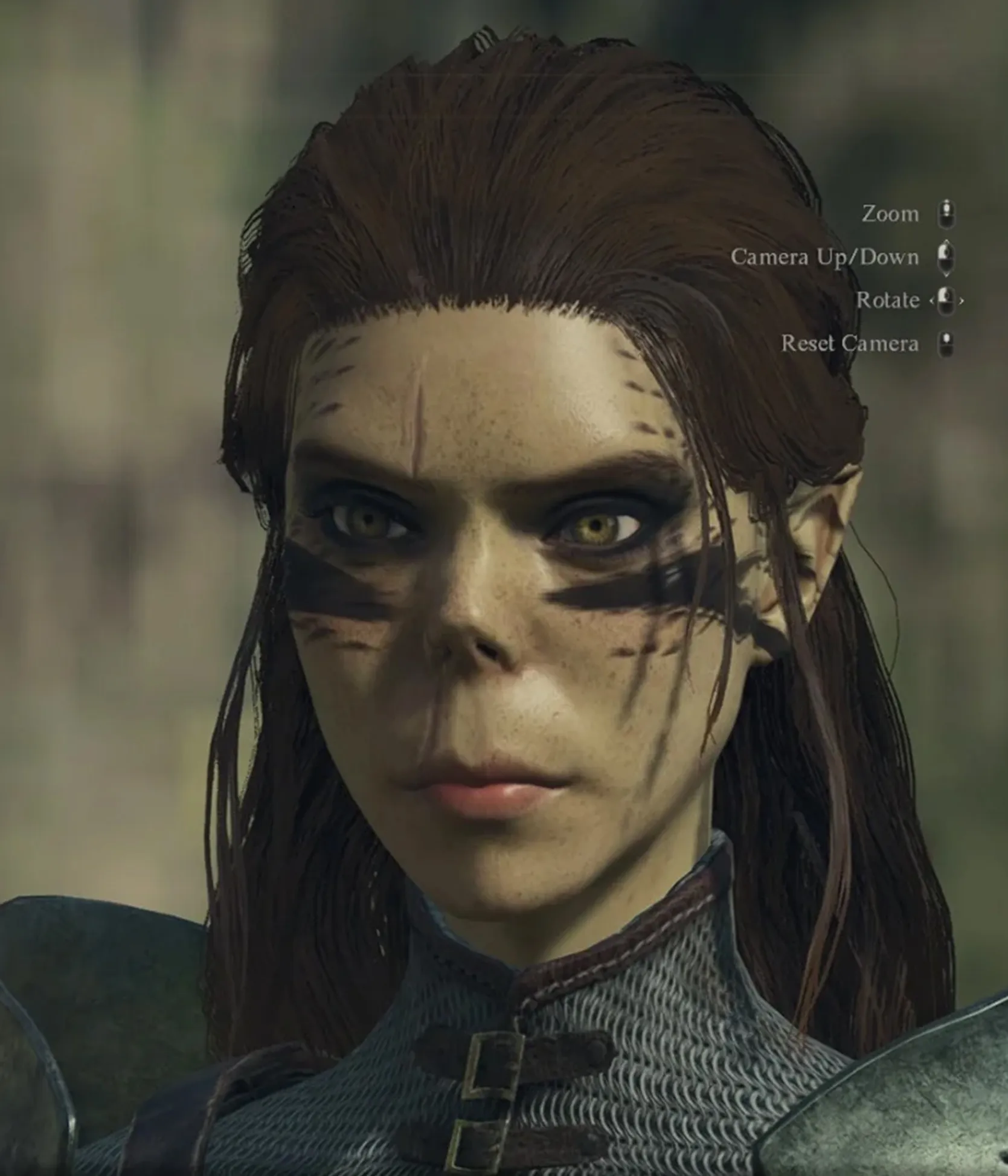 Лей'зель у Dragon's Dogma 2 Лей'зель у Dragon's Dogma 2
