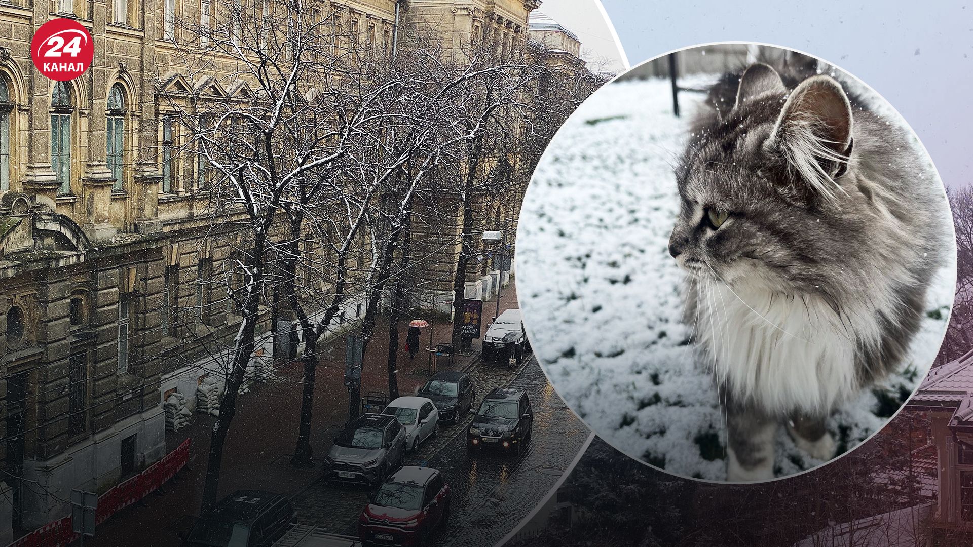 У Львові засніжило У Львові засніжило