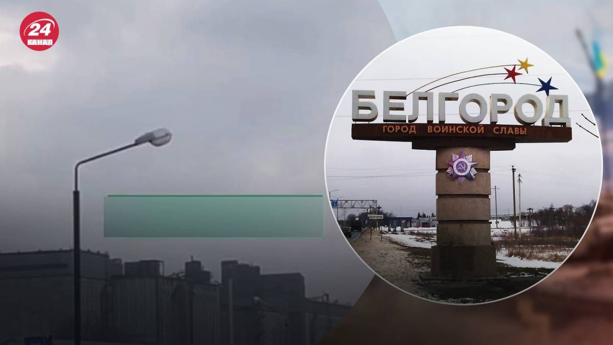 В Белгороде в очередной раз цветет хлопок В Белгороде в очередной раз цветет хлопок