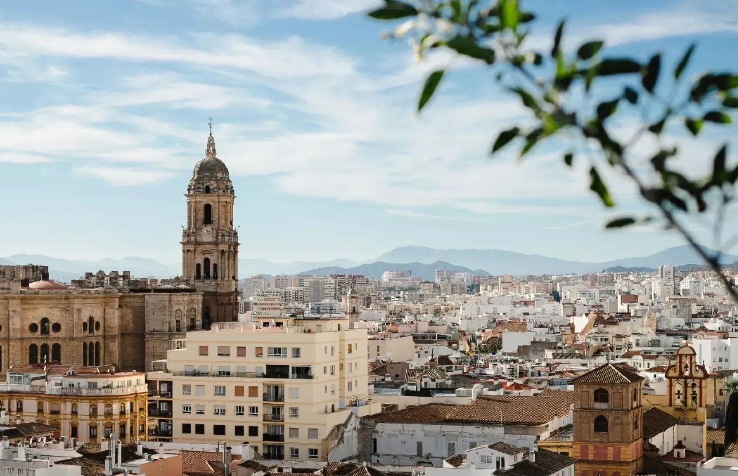 Малага влаштувала війну туристам Малага влаштувала війну туристам